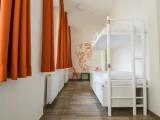 Bed in Dorm