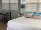 Quadruple Studio with pool view