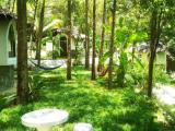 1 Bedroom Bungalow with garden view