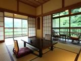 Standard room with view