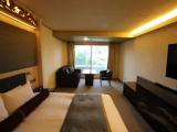 Deluxe Double room with river view