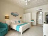 Standard Double room with garden view