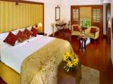 Premium Suite