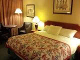 Standard Double room with ocean view
