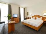 Superior Double room with mountain view