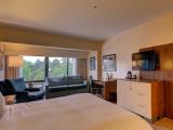 Double Junior Suite