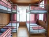 Bed in Dorm