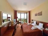 Standard Double room with balcony and with garden view
