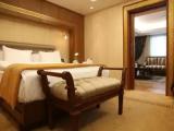 Executive Double Suite with city view
