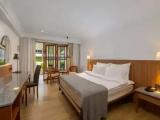 Deluxe Ground Terrace Double room