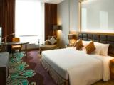 Deluxe Double Suite