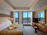 Deluxe Standard Double room