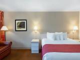 Double room with pool view