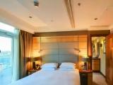 Executive Double Suite