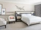 Pool Double Suite