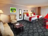 Enchanted Knight Junior Suite