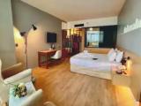 Ideal Double room
