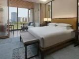Skywheel View Double room