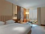 Double room Skyline View