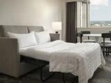 Executive Double Suite