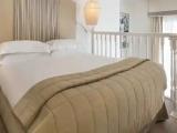 Double Duplex Junior Suite with Eiffel Tower view