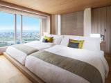 Superior Luxury Quadruple Suite