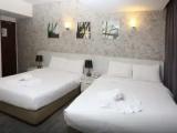 Double Family Suite