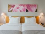 Garden Twin room