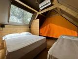 Safari Tent