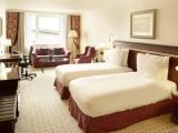 Executive Quadruple room
