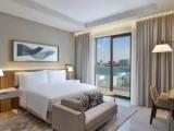 1 Bedroom Deluxe Double Suite