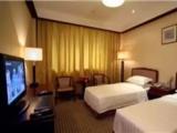 Special (Partially Windowless) Double room