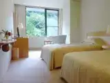 Western-Style Twin room