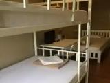 Basic Triple room