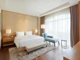 Executive Regency Double Suite