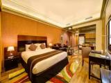 Double Studio Apartment
