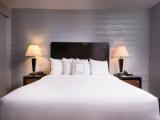 1 Bedroom Double Penthouse Suite with city view
