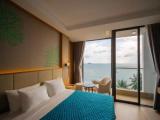 Premier Deluxe Double room with balcony and with sea view