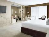 Executive Double Junior Suite