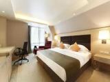 Deluxe Double room with city view