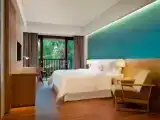 Deluxe Premier Double room
