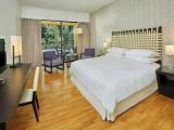 Classic Double room with mountain view