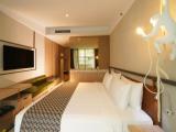Executive Double room with pool view