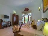 Deluxe Double room with balcony and with mountain view