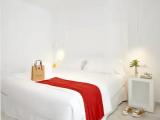 Quadruple Suite Apartment
