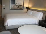 Guest +Bathtub Volcano view room