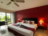 1 Bedroom Superior Apartment