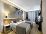 Standard Attic room
