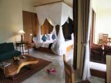 Premier Double Suite