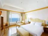 Executive Double Suite